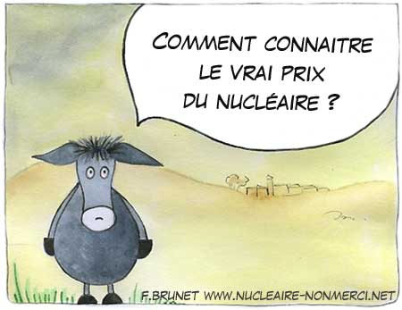 nucleaire-coute-cher.jpg